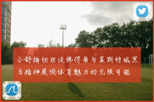小舒梅切尔谈佛得角与莱斯特城黑马精神展现体育魅力的无限可能